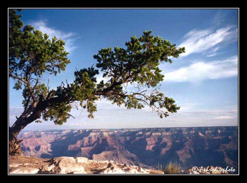 Grand canyon NP